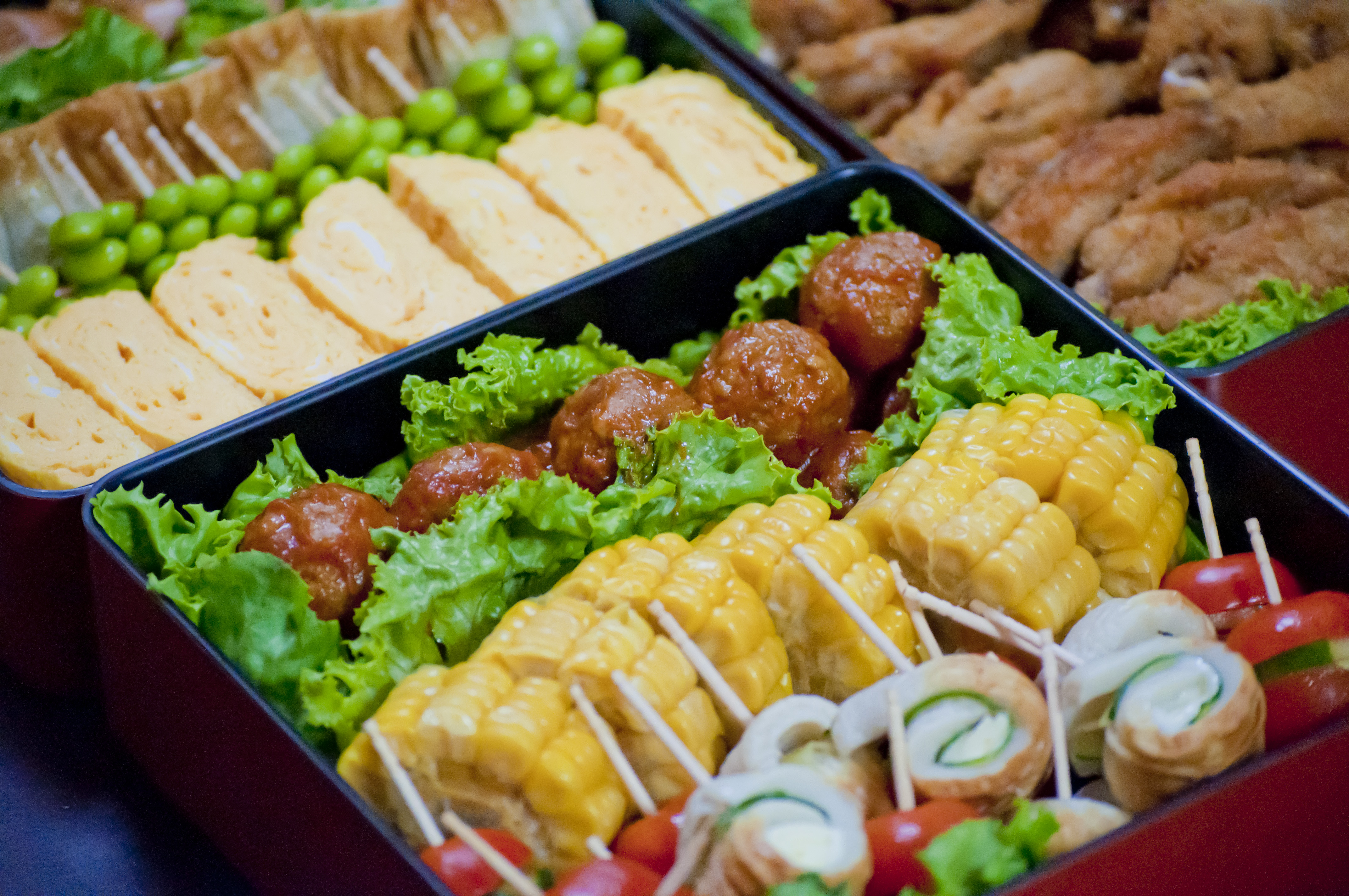 お花見に！ピクニックに！まんまるおにぎりの行楽弁当三菱電機 CME CLUB MITSUBISHI ELECTRIC