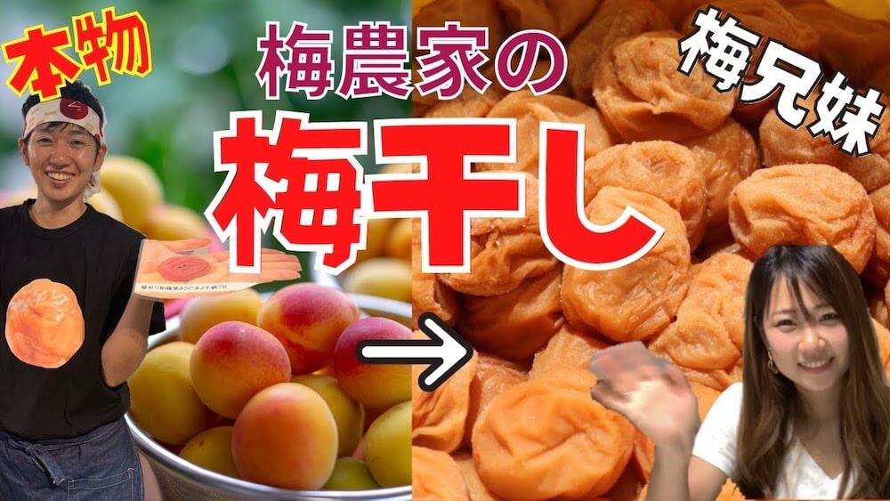 昔ながらの酸っぱい梅干しの作り方と初心者におすすめな漬け方6選 自分に合う漬け方を探せ！- たいようブログ