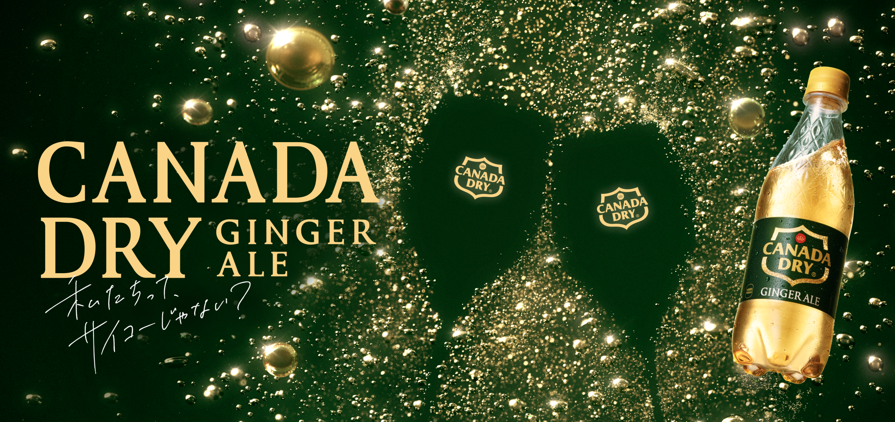 楽天市場 コカ・コーラ カナダドライ ジンジャーエール 500ml 1ケース 24本 ペットボトル ジュース ソフトドリンク 炭酸飲料 生姜 ジンジャーエキス定番ドリンク : グラニーレ 楽天市場店