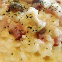 簡単！お昼ごはんレシピまとめX