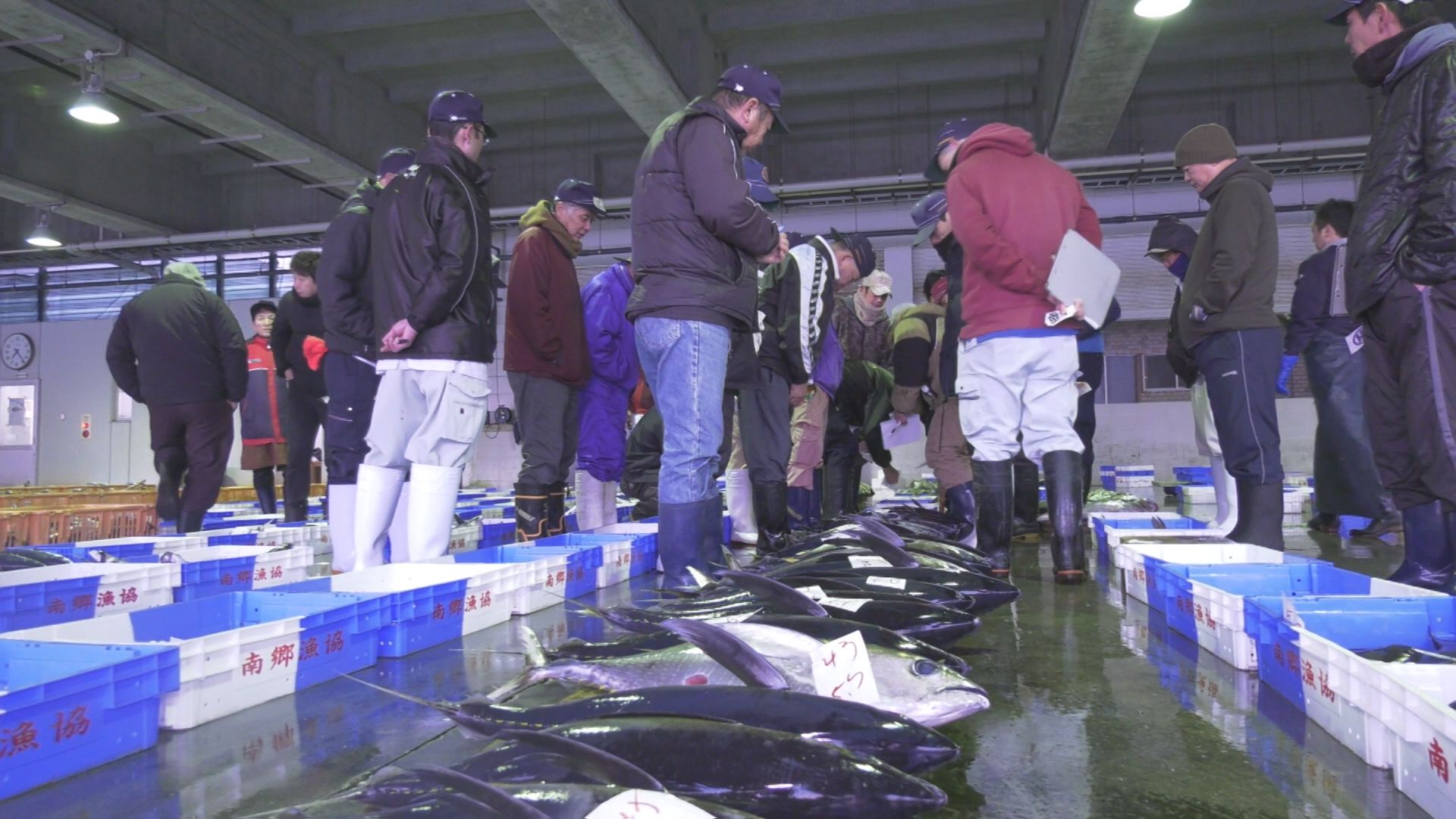 水産業界の秘密解明！買参権とは？買参権を使ってセリで仕入れるメリットとデメリットを徹底解説。～大手居酒屋チェーン店の市場買参権取得に立ち向かう中小・個人経営飲食店のための対抗策を徹底解説～– 飲食店向け業務用仕入サイト - 居酒屋応援隊