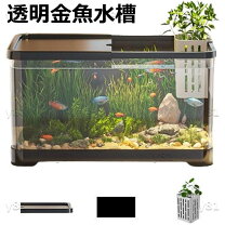 初心者のためのおすすめ水槽セット特集チャーム