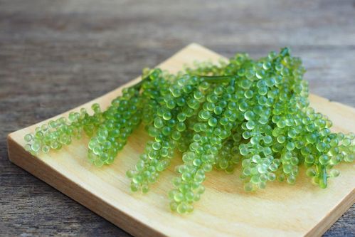 沖縄 お土産人気ランキング名物グルメ 22選 Okinawa Souvenir