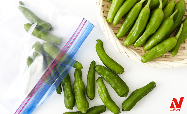 ピーマンの保存方法 - 野菜の保存方法 料理の基礎レシピサイトNadia