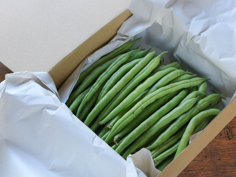 岩谷産業 フーズランド いんげんカット4cm500g