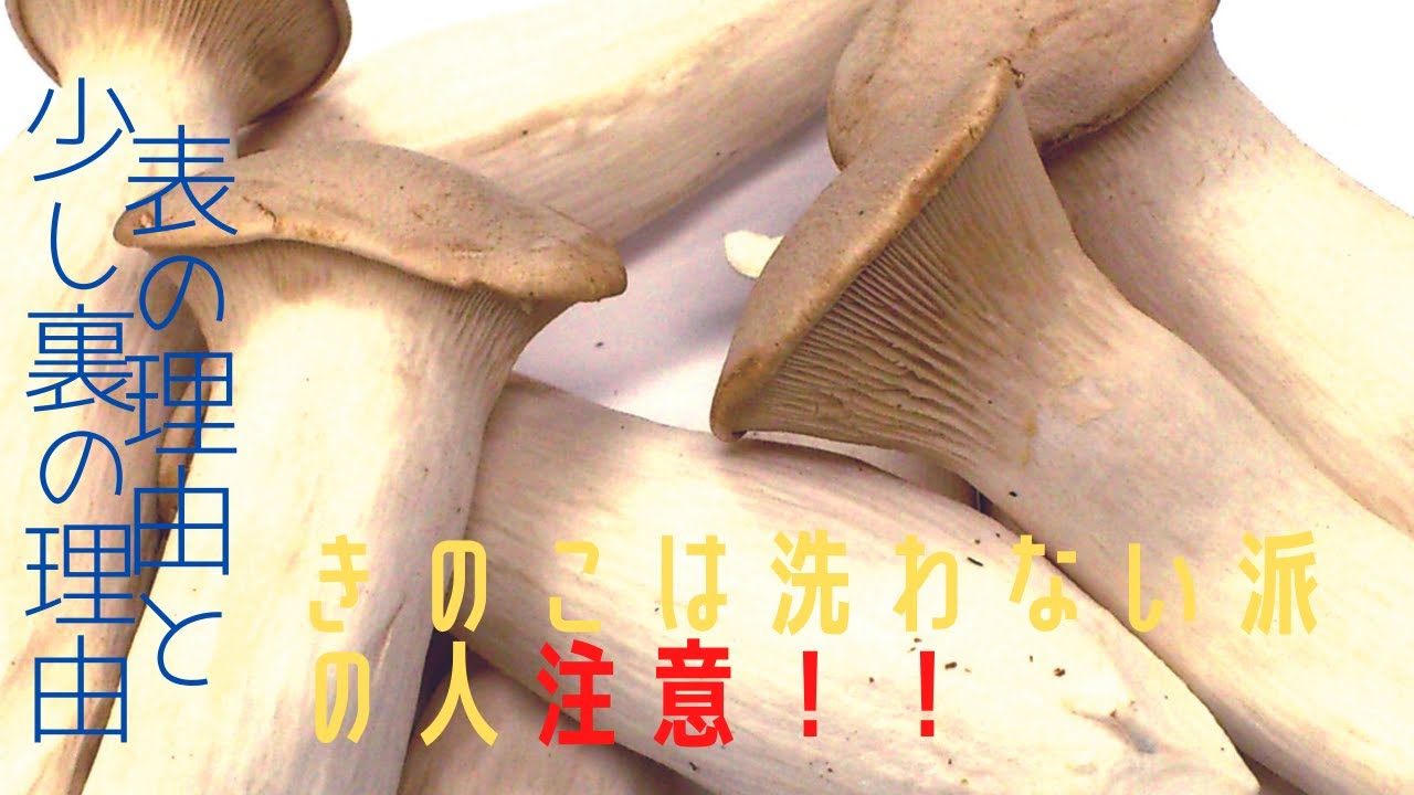 プロが解説 軸は捨てない洗わない！ 種類別きのこの美味しい食べ方・下処理 軸と石づきの違い三越伊勢丹の食メディアFOODIE フーディー