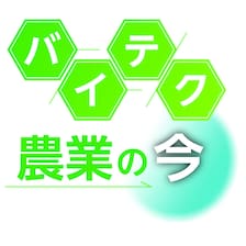 ニチレイフーズ ニチレイ チキンライス 450g x12 4902130344978 1セット 12個入直送品- アスクル