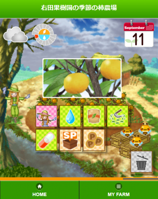 まるで地上の楽園に！ 野菜と果樹を共存させるポイントとは 畑は小さな大自然vol.112 マイナビ農業