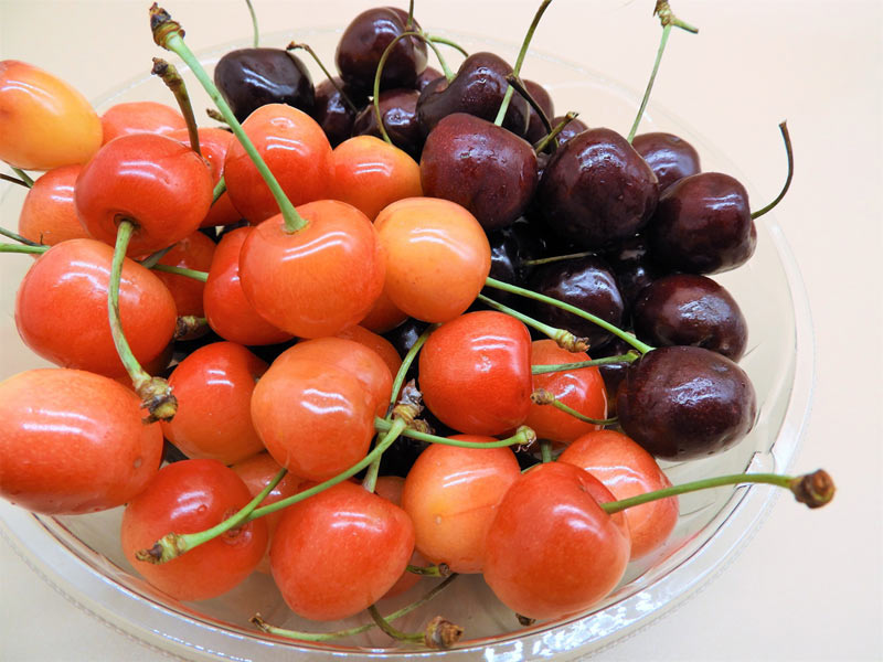 アメリカンチェリー』～国産さくらんぼとの違いを見てみよう～ずーやのメモ帳