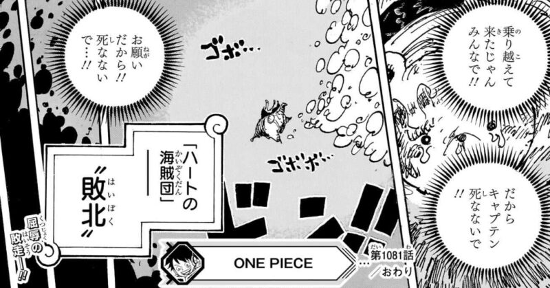 在庫処分品 オズボーン フィーノ キンタ シェリー酒 750ml 商品情報をお読みください: 京家 リカーバーン祇園 ワイン直販 - 通販 -Yahoo!ショッピング