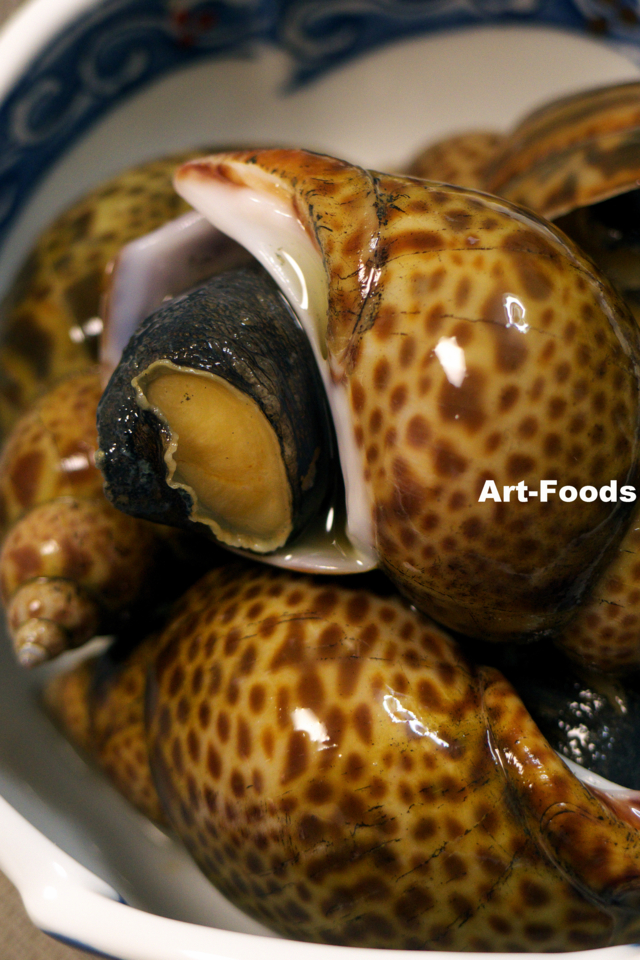 つぶ貝の煮付け 、 下茹して唾液腺をとる - 魚料理と簡単レシピ