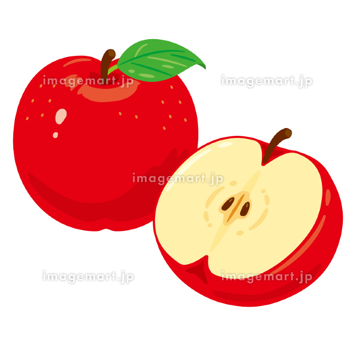 リンゴ 断面のイラスト素材 - PIXTA