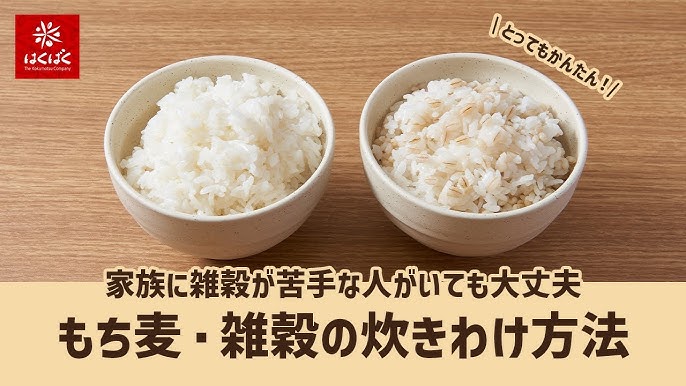もち麦がもちもちしない ！浸水時間や炊き方を調整してみよう