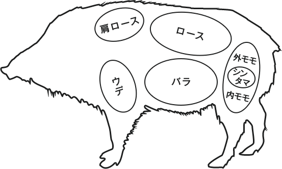 猪バラ肉 スライス 調理用500g霧島ジビエ＜公式＞