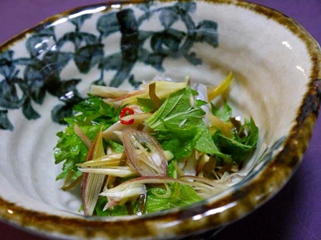 こはだの酢漬けの人気レシピ・作り方 - 楽天レシピ