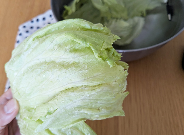 料理の基本！ レタスの洗い方