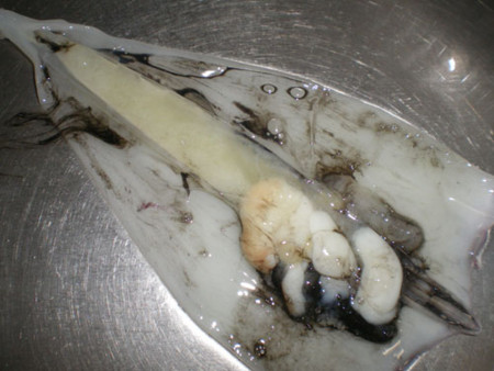 カミナリイカ 紋甲烏賊 のイカチチと卵：旬の魚介百科