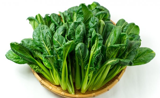 葉を食べる野菜：葉菜類 一覧野菜の図鑑web