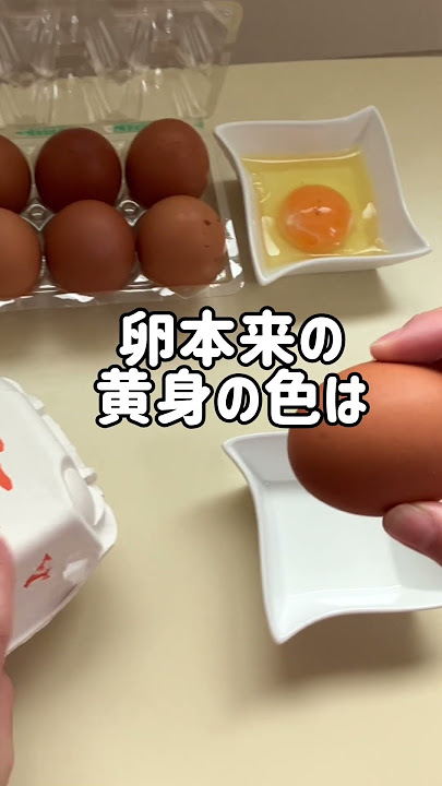 たまごの黄身の色が違うのはなぜ？個人のお客さまJA全農たまご株式会社