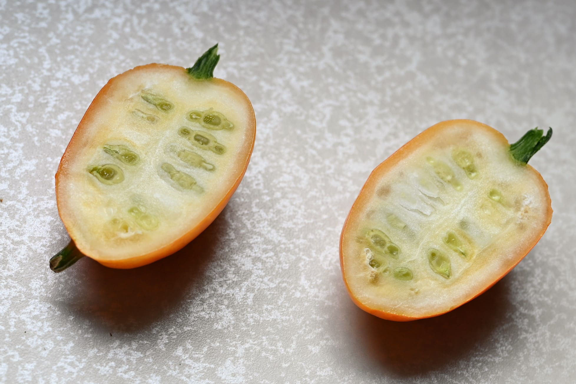 琉球カラスウリ 使い道TikTok