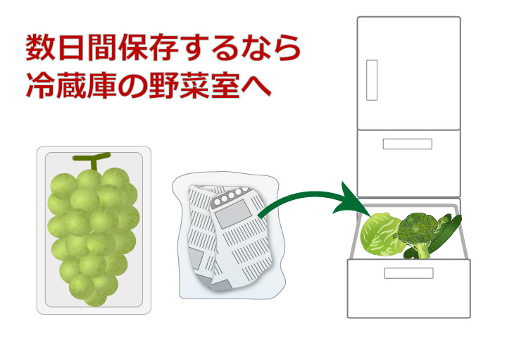 ぶどうの保存方法 - 果物の保存方法 料理の基礎レシピサイトNadia