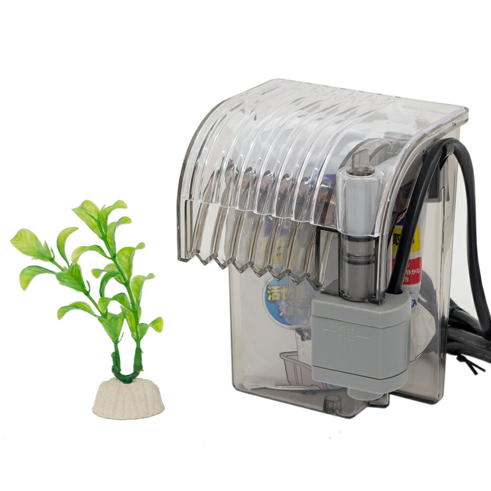 初心者向け・おすすめ金魚水槽セット10選選び方も教えます東京アクアガーデン