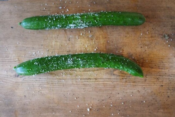 叩いてストレス発散！「塩ダレたたききゅうり」たたききゅうりきゅうりおつまみやみつきtiktokレシピ料理動画デリッシュキッチン咀嚼音asmr ■材料2人分・きゅうり2本 ☆調味料 ・ごま油小さじ1 ・鶏ガラスープの素小さじ1 2 ・塩 小さじ1 3 ・こしょう少々 ・白いりごま小さじ2 ■手順