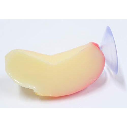 Stay Home リンゴで 2種のウサギ 飾り切り - YouTube