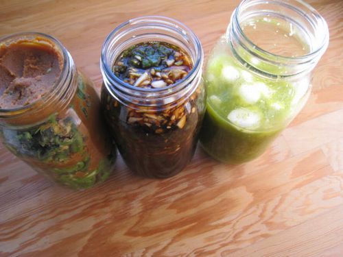 青唐辛子の正しい保存方法。風味を保つコツやおすすめレシピを紹介食・料理オリーブオイルをひとまわし