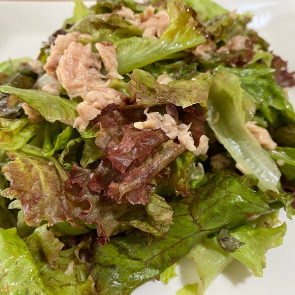 ツナとサニーレタスのごまサラダクラシル
