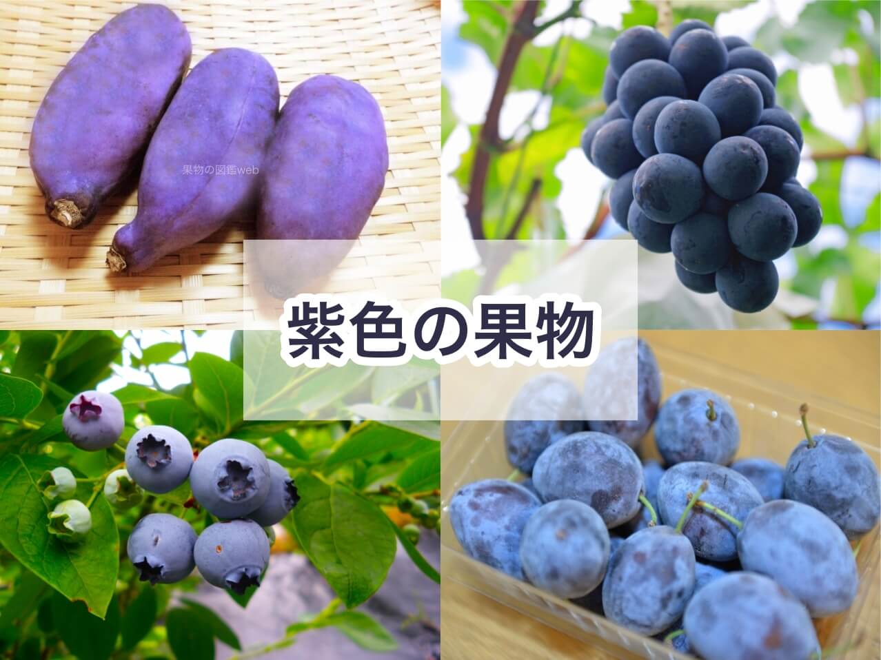 紫色の野菜や果物はどれだけある？特徴やレシピもご紹介デリッシュキッチン