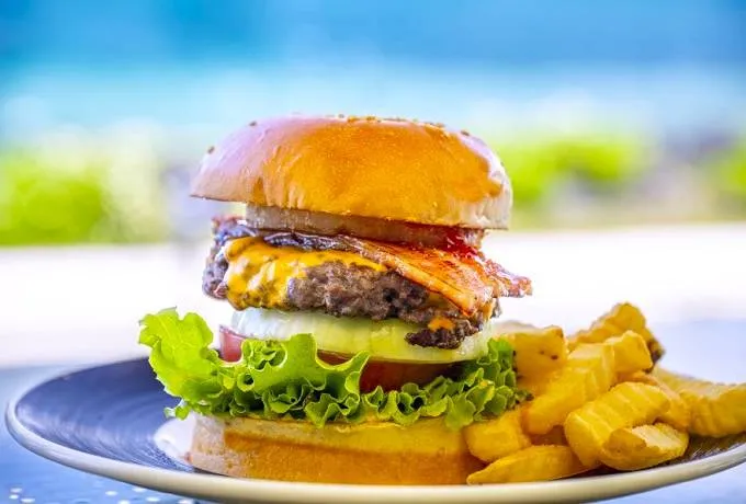 あわじ島バーガーが食べられるお店『淡路島オニオンキッチン』 - POTA BIKE ポタバイク 公式サイト