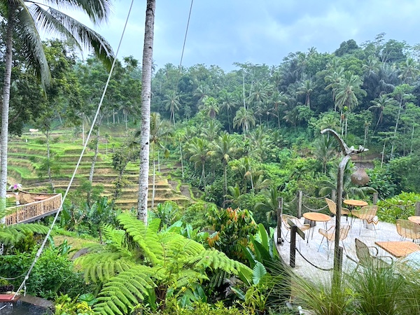 ❤︎ テガラランのライステラス近くで 入ったカフェ☕️ 席からの景色が絶景すぎて 景色が絵画みたい✨ こちらのカフェはこの日がオープンだったみたいで、 偶然入れてラッキーでした😆 残念なことにお店の名前は覚えてません💧 こちらに行ってみたい方は ライステラス