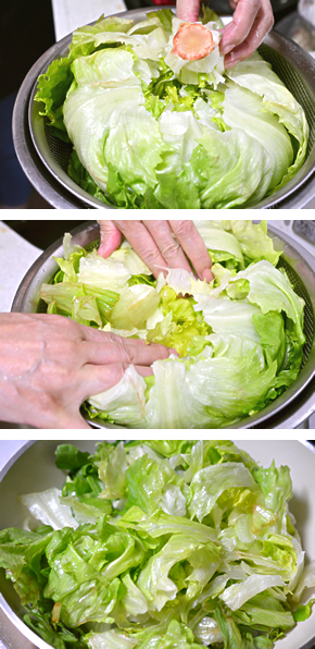 レタしゃぶ吟！風のレタスしゃぶしゃぶ