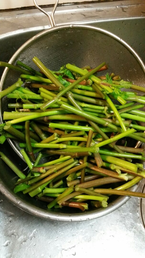 パクチーサラダ