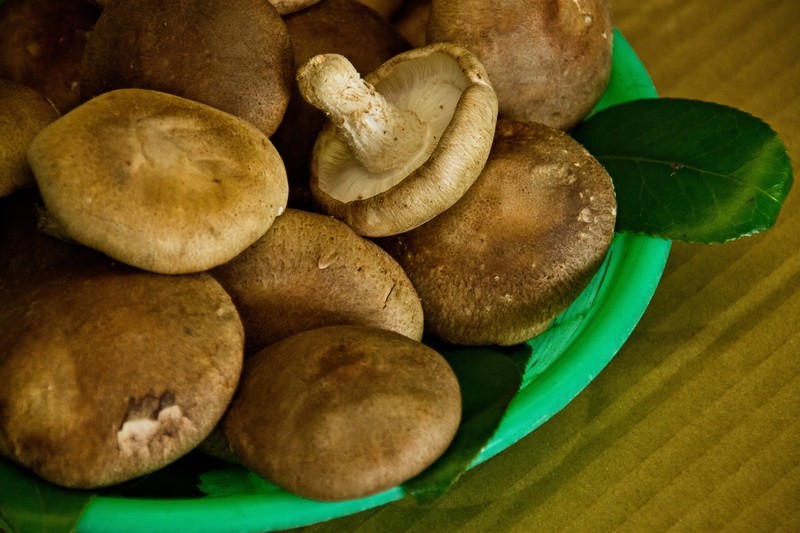 しいたけを美味し～く食べる♪簡単な方法☆ by kurukuruminクックパッド簡単おいしいみんなのレシピが392万品