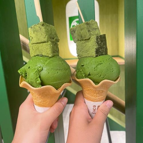 これ10選！ 京都・嵐山アイスクリーム店！人気おすすめランキング！天龍寺-御朱印