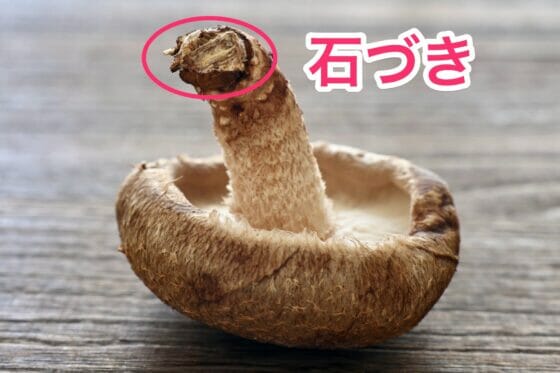 石づきってどこ?原木栽培と菌床栽培の違いは？料理日和