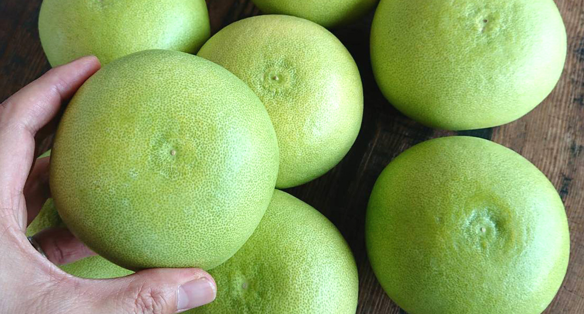 翠然フルーツ 伊良湖 水晶文旦高級フルーツギフト翠然フルーツ