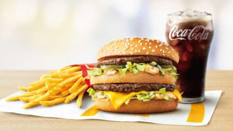 マックの温め方 「冷めたバーガーをおいしく温め直す！快適ミニマムキャンプソロニワ