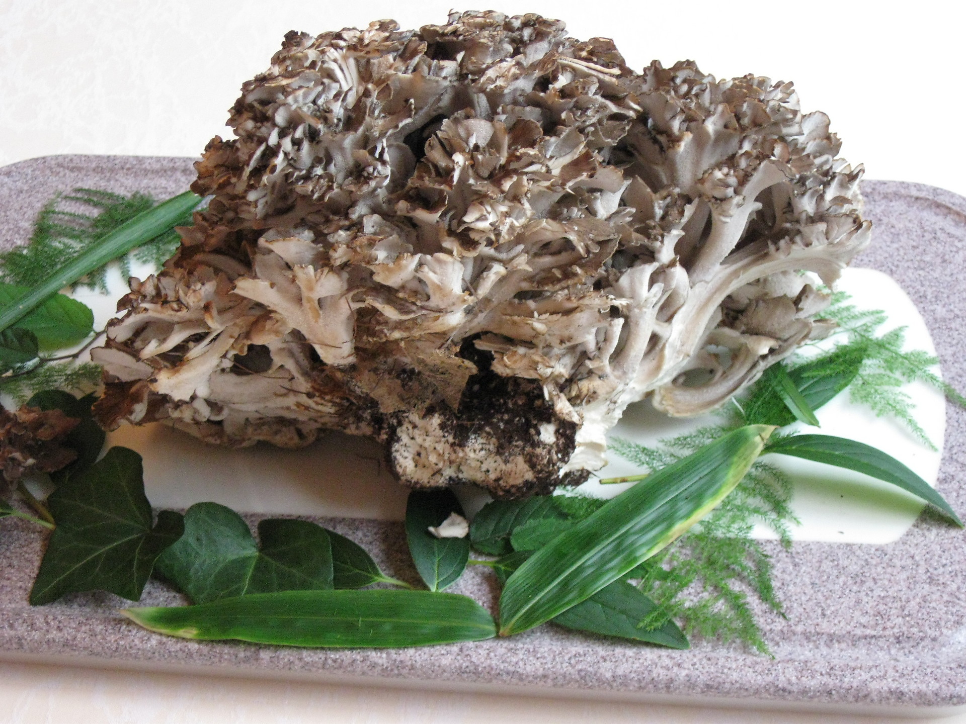 第9回 「きのこ」美ST ONLINE