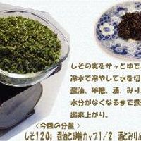 簡単に作れて手間いらず！ しその実の塩漬け