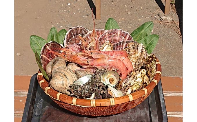 BBQ、キャンプに！4人以上におすすめな海鮮バーベキューセットは？のおすすめランキング野に行く