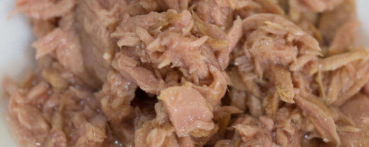 検証 ドンキのツナ缶で一番ウマいのは!?と思ったら「完全に個人の好み」だったので、慌てて “コスパNo.1決定戦” に切り替えた結果ロケットニュース24