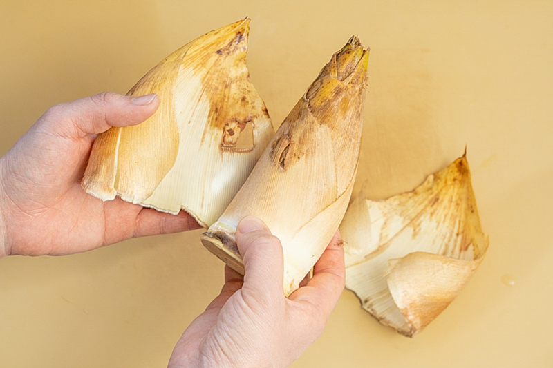 簡単なたけのこの茹で方を解説！アク抜きで米ぬかがない時は無洗米OK！ふるなび公式ブログ ふるさと納税DISCOVERY