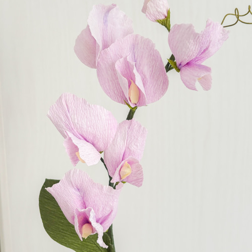 生花 スイートピー 紫絞り 50cm 宮崎県・大分県 Flower Smith Market フラワースミスマーケット