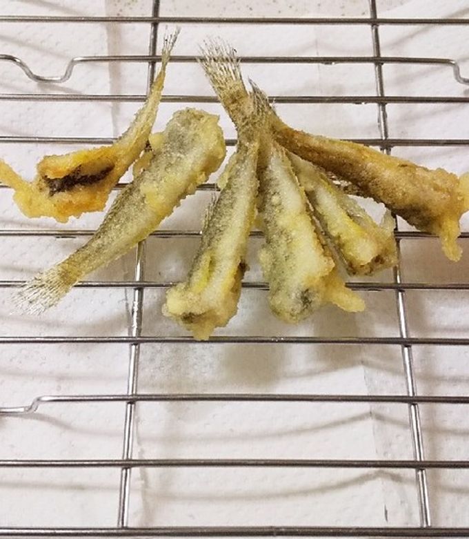 ハゼ天ぷら捌き方TikTok