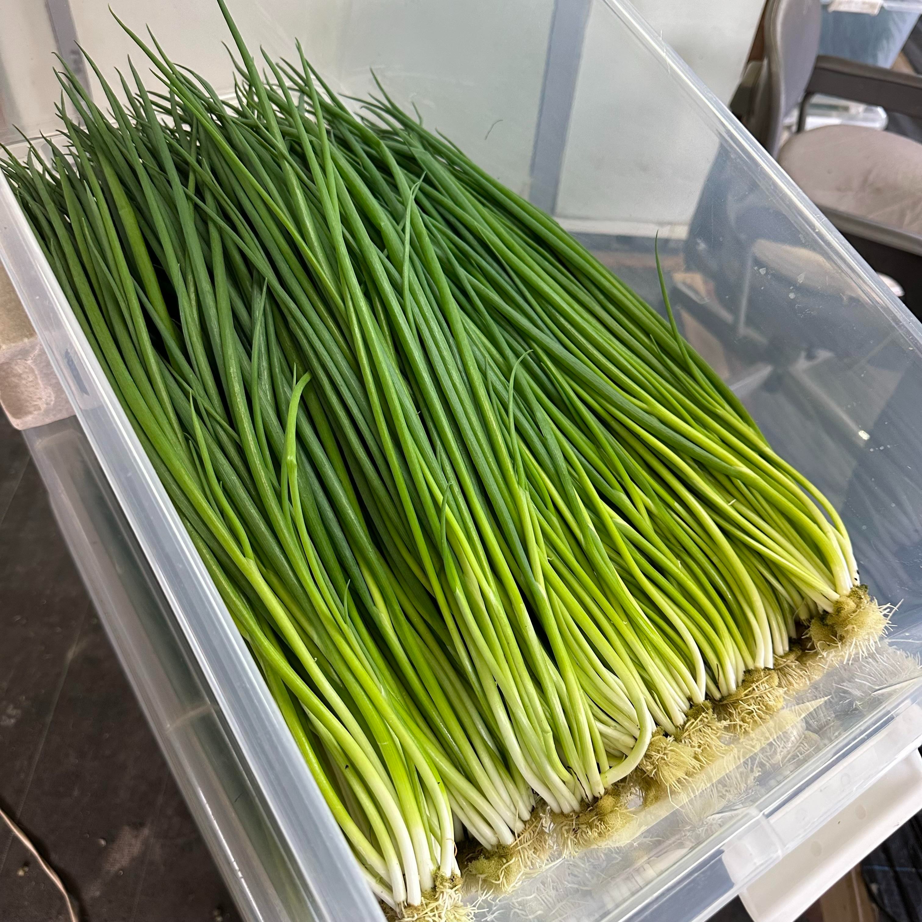 和えるだけの簡単付け合わせ！長ねぎで作る「パジョリ」でサムギョプサルがさらにおいしい - macaroni