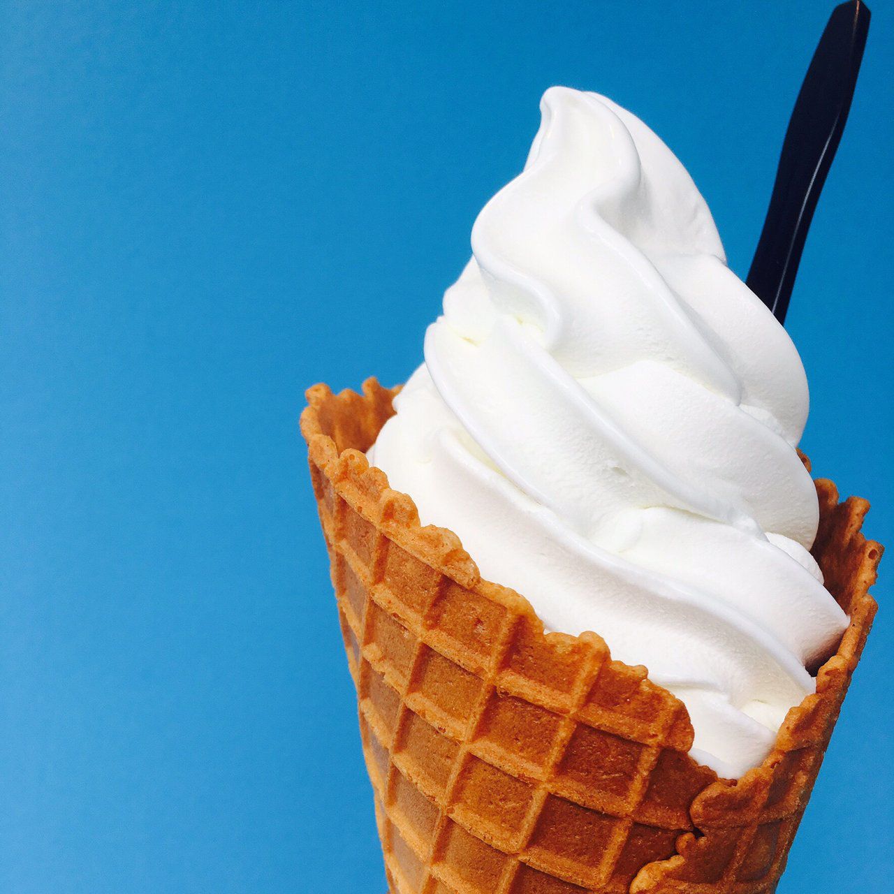 9ページ - おしゃれな花無料テンプレートデザイン。イラストや画像付きも豊富 - Canva キャンバ