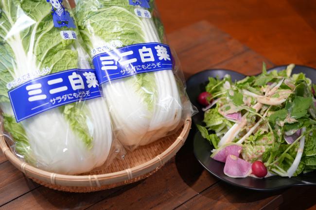 ミニ白菜あらい農園無農薬・有機肥料の野菜宅配京都